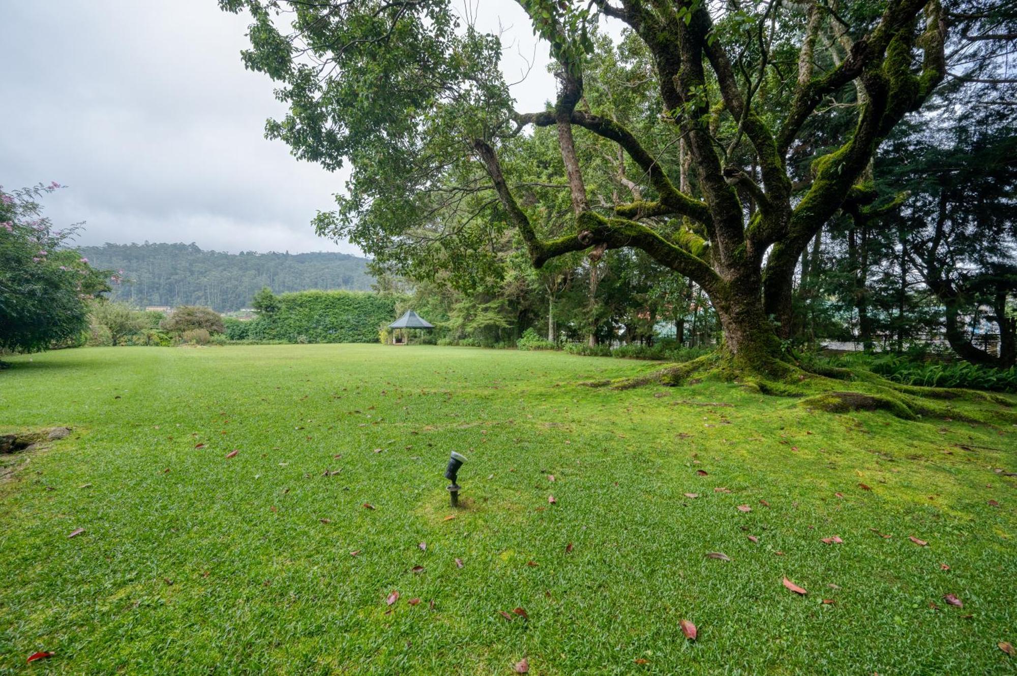 Ferncliff Bungalow นูวาราเอลิยา ภายนอก รูปภาพ