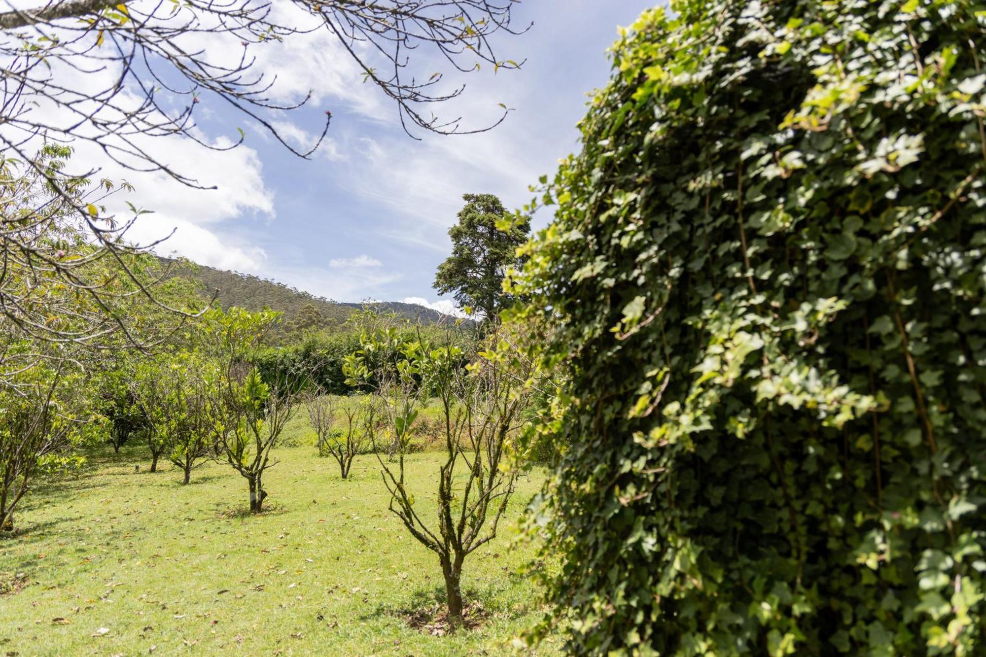 Ferncliff Bungalow นูวาราเอลิยา ภายนอก รูปภาพ