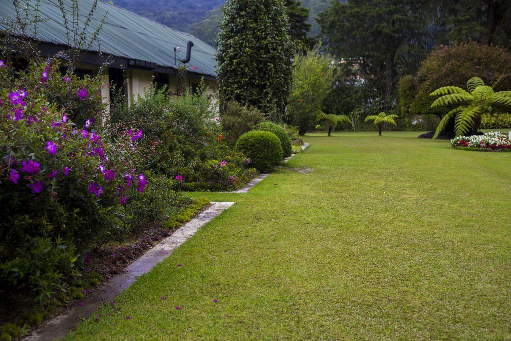 Ferncliff Bungalow นูวาราเอลิยา ภายนอก รูปภาพ